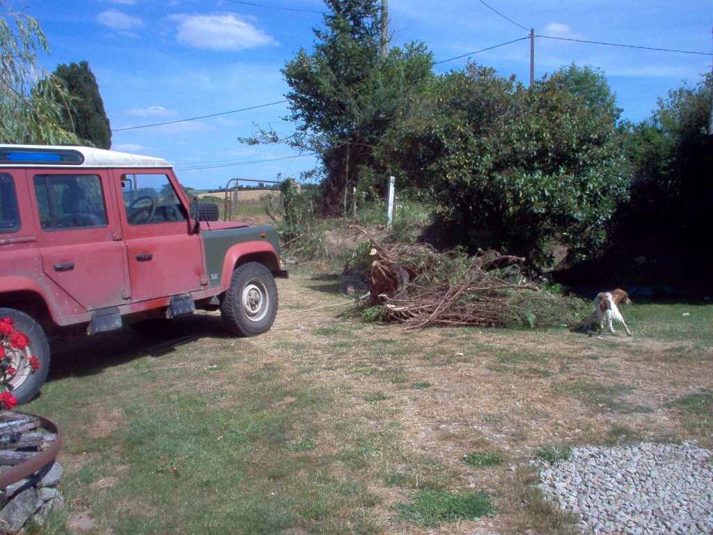 20100706 DESTROYING GARDEN HEDGE 04.jpg - IM000722.JPG